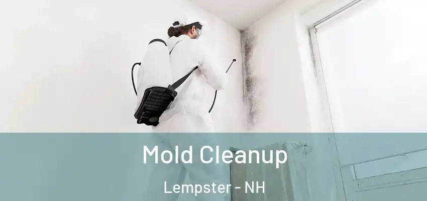 Mold Cleanup Lempster - NH