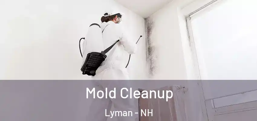  Mold Cleanup Lyman - NH
