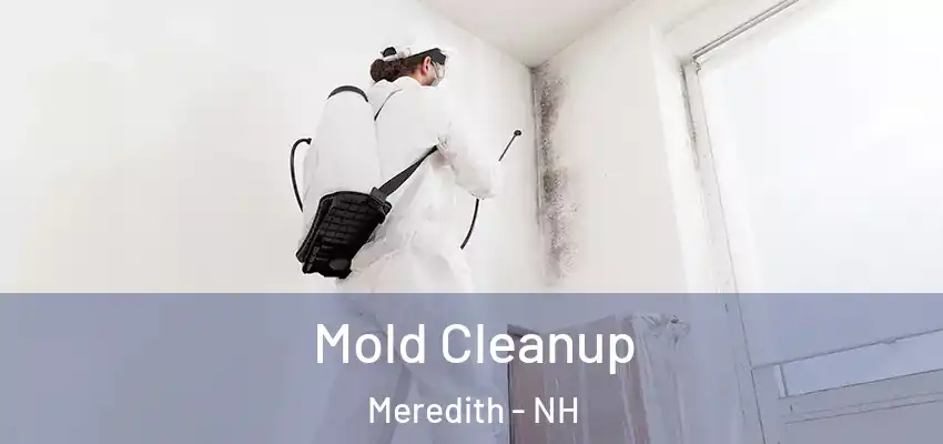  Mold Cleanup Meredith - NH
