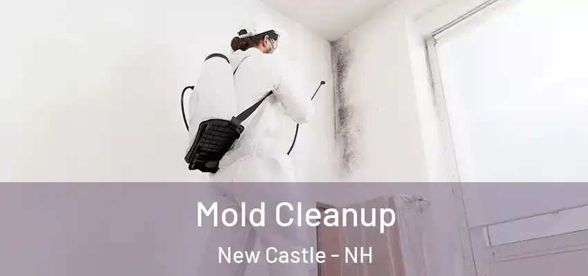 Mold Cleanup New Castle - NH