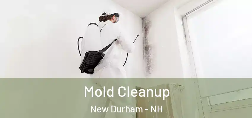 Mold Cleanup New Durham - NH