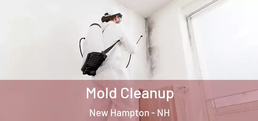  Mold Cleanup New Hampton - NH