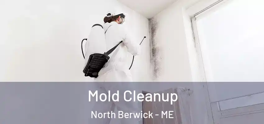  Mold Cleanup North Berwick - ME