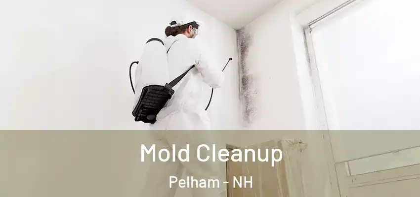  Mold Cleanup Pelham - NH