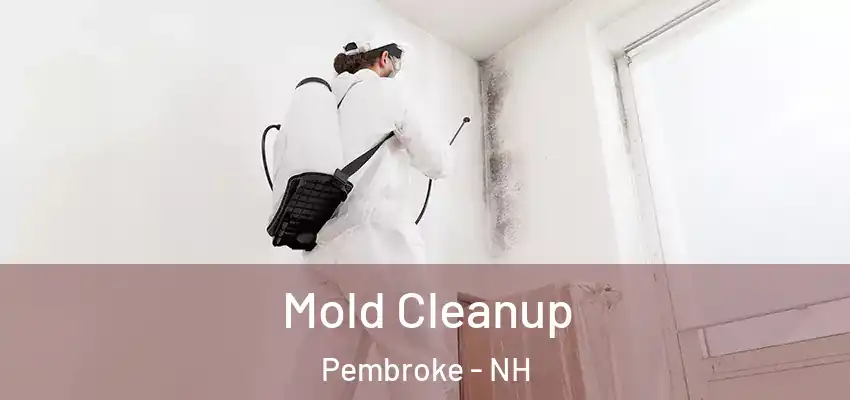  Mold Cleanup Pembroke - NH