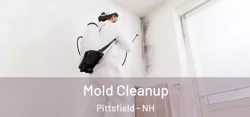 Mold Cleanup Pittsfield - NH