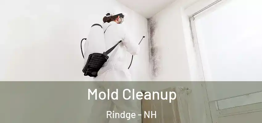  Mold Cleanup Rindge - NH
