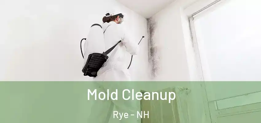 Mold Cleanup Rye - NH