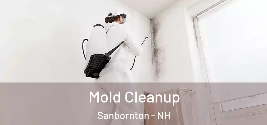  Mold Cleanup Sanbornton - NH