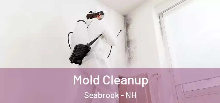  Mold Cleanup Seabrook - NH