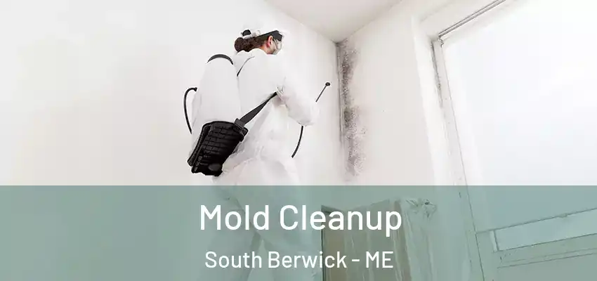 Mold Cleanup South Berwick - ME