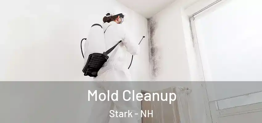  Mold Cleanup Stark - NH