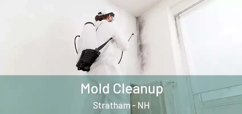  Mold Cleanup Stratham - NH