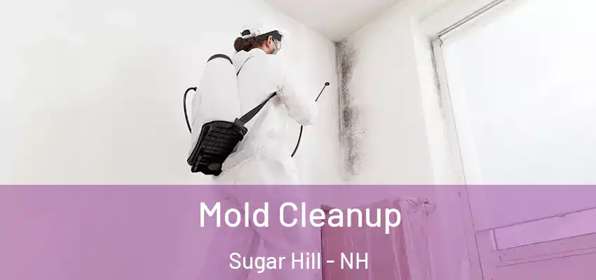 Mold Cleanup Sugar Hill - NH