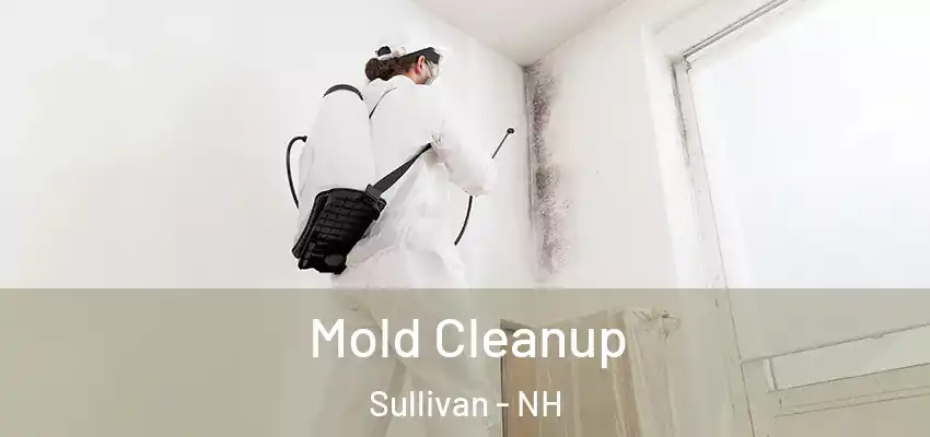  Mold Cleanup Sullivan - NH