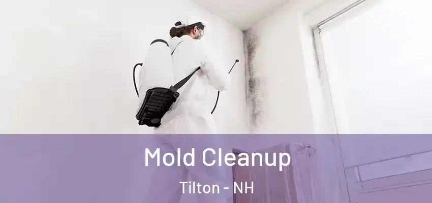  Mold Cleanup Tilton - NH