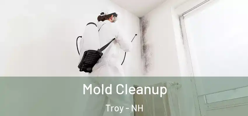  Mold Cleanup Troy - NH