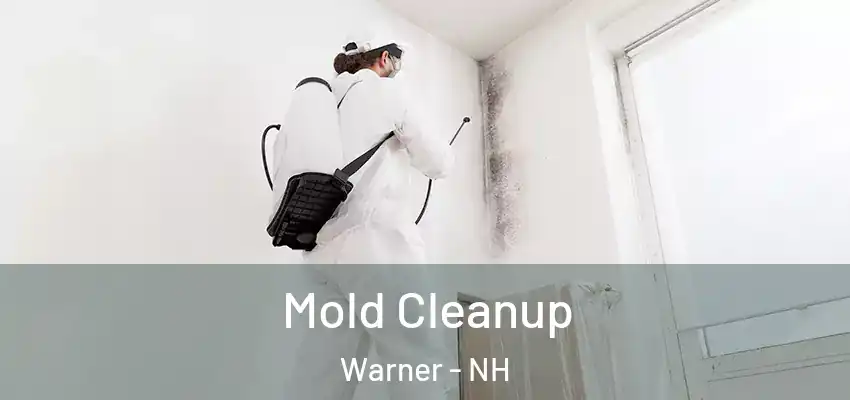 Mold Cleanup Warner - NH