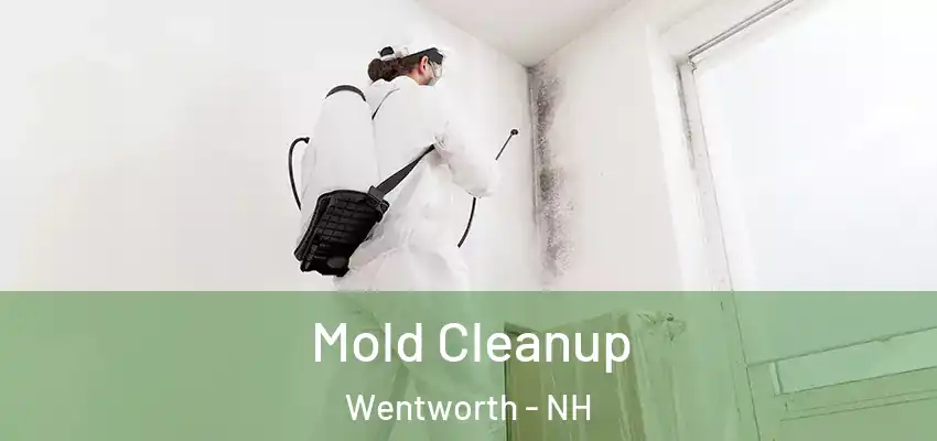  Mold Cleanup Wentworth - NH
