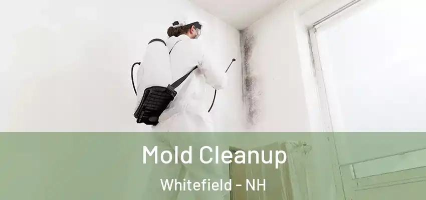  Mold Cleanup Whitefield - NH