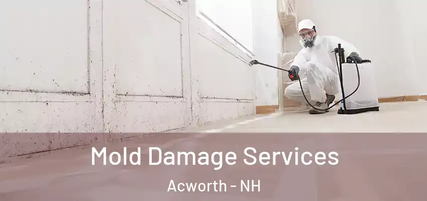  Mold Damage Services Acworth - NH