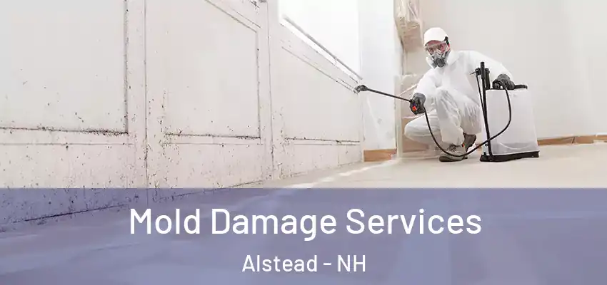  Mold Damage Services Alstead - NH