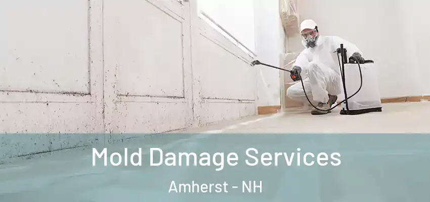  Mold Damage Services Amherst - NH