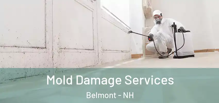  Mold Damage Services Belmont - NH