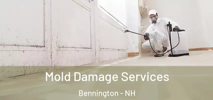  Mold Damage Services Bennington - NH