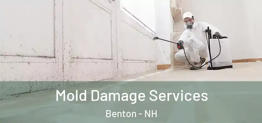  Mold Damage Services Benton - NH