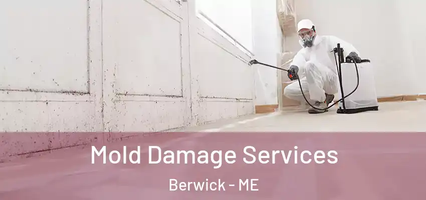  Mold Damage Services Berwick - ME