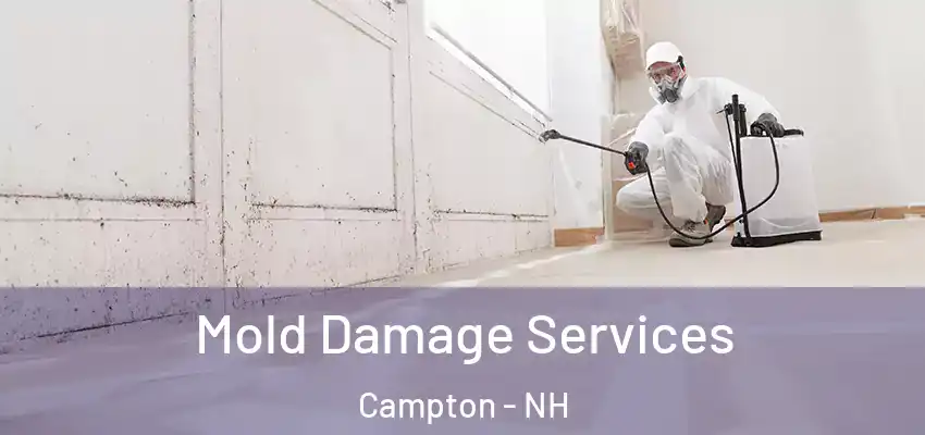  Mold Damage Services Campton - NH