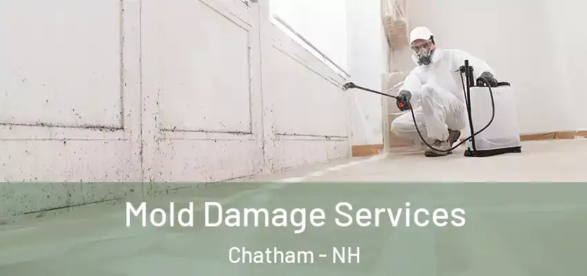  Mold Damage Services Chatham - NH