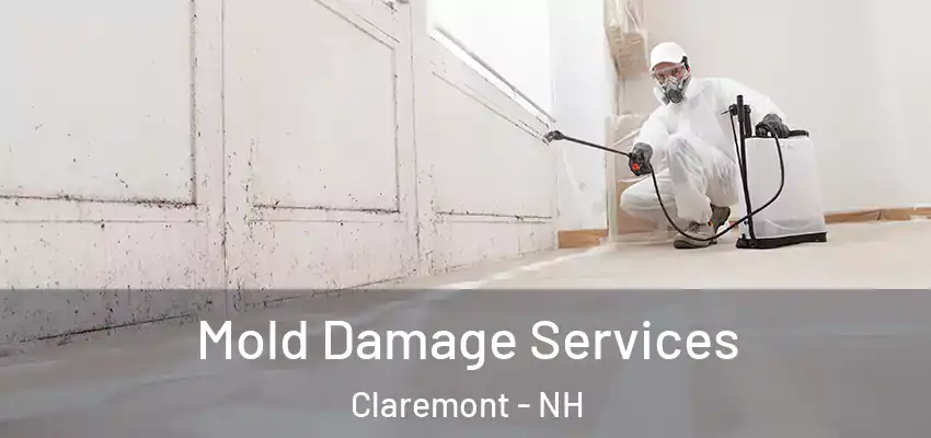  Mold Damage Services Claremont - NH