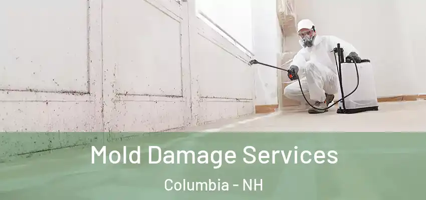  Mold Damage Services Columbia - NH