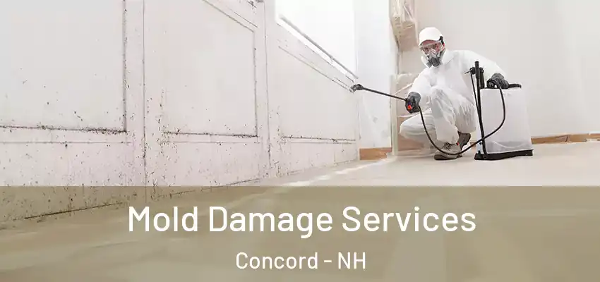  Mold Damage Services Concord - NH