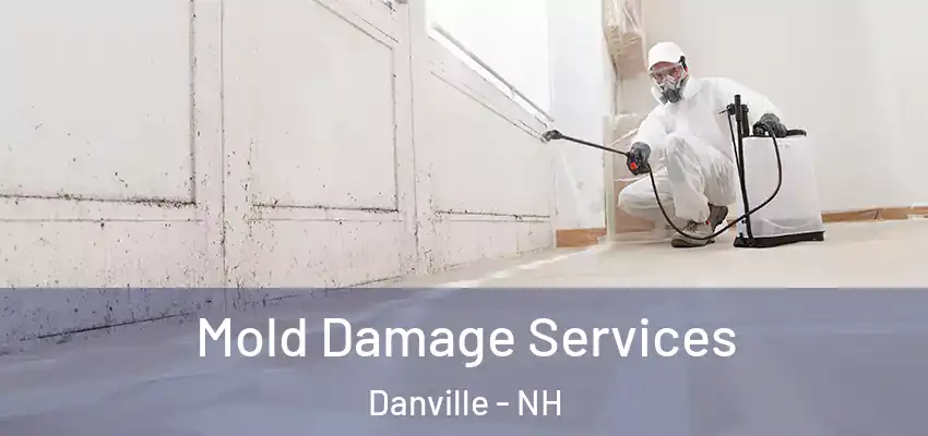  Mold Damage Services Danville - NH