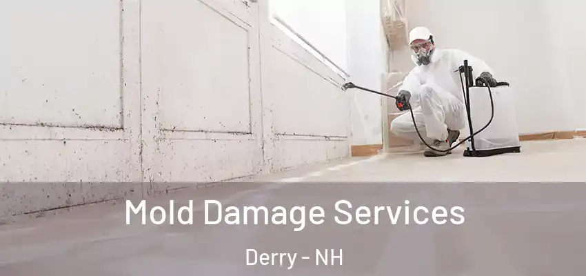  Mold Damage Services Derry - NH