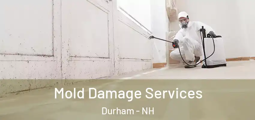  Mold Damage Services Durham - NH