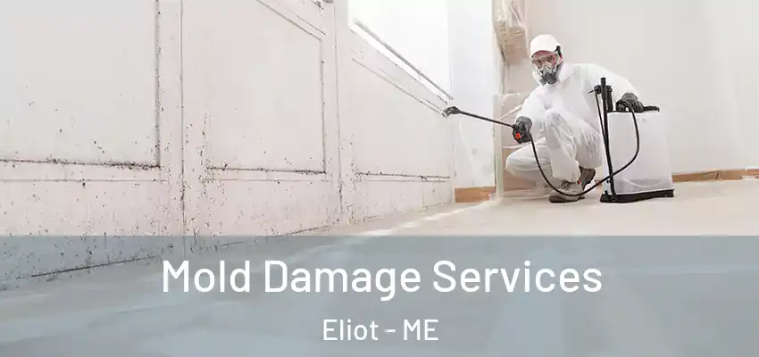  Mold Damage Services Eliot - ME