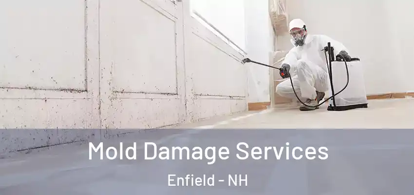  Mold Damage Services Enfield - NH