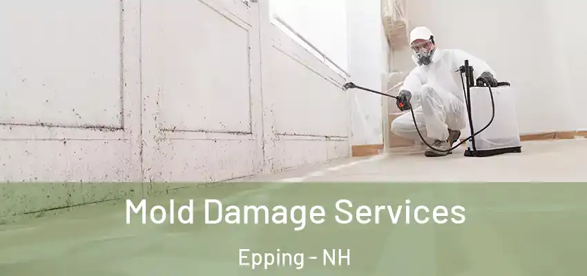 Mold Damage Services Epping - NH