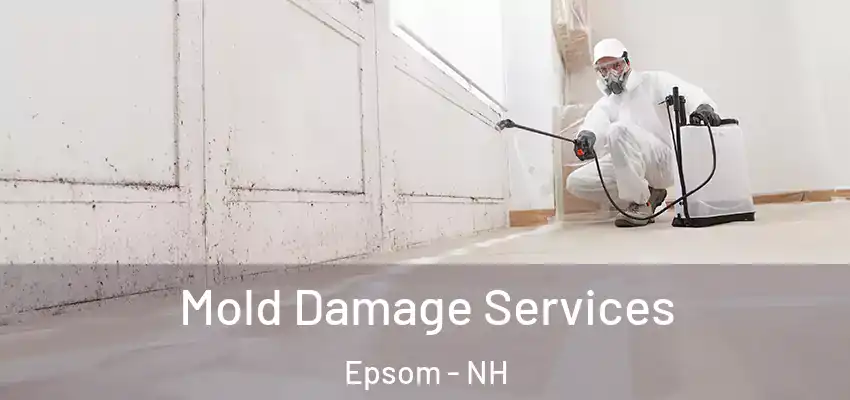  Mold Damage Services Epsom - NH