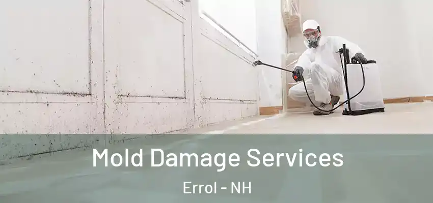  Mold Damage Services Errol - NH