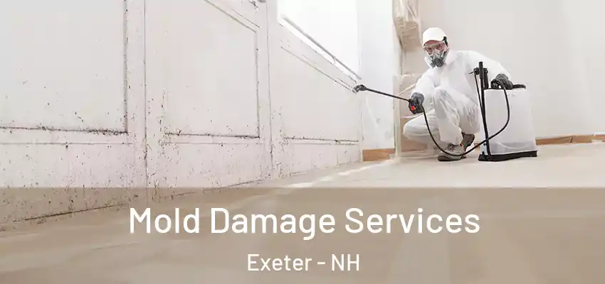 Mold Damage Services Exeter - NH