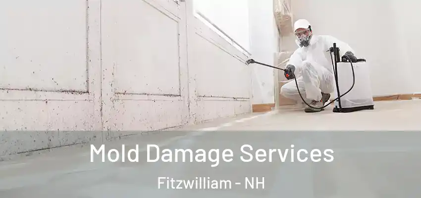  Mold Damage Services Fitzwilliam - NH