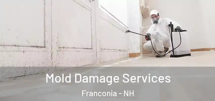  Mold Damage Services Franconia - NH