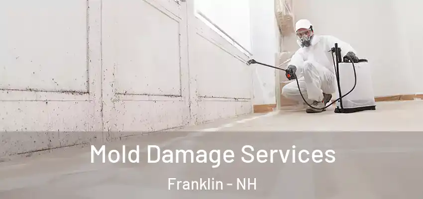 Mold Damage Services Franklin - NH