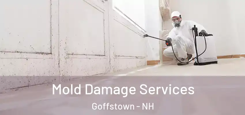  Mold Damage Services Goffstown - NH
