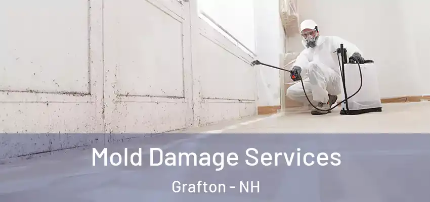  Mold Damage Services Grafton - NH